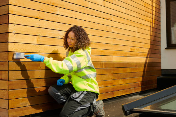 Best Siding Removal and Disposal  in Beulah, ND